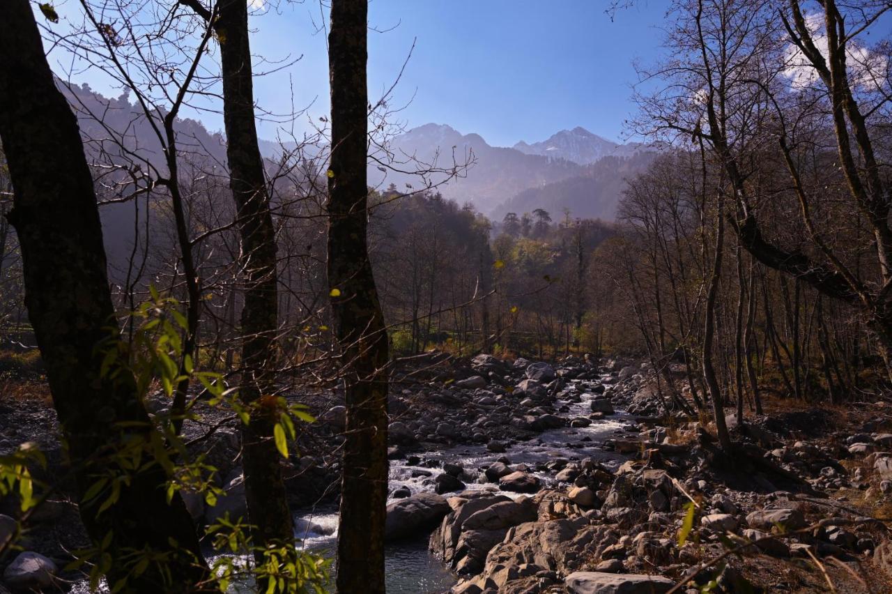 Zostel Dobhi, Manali Hostel Nagar  Екстериор снимка