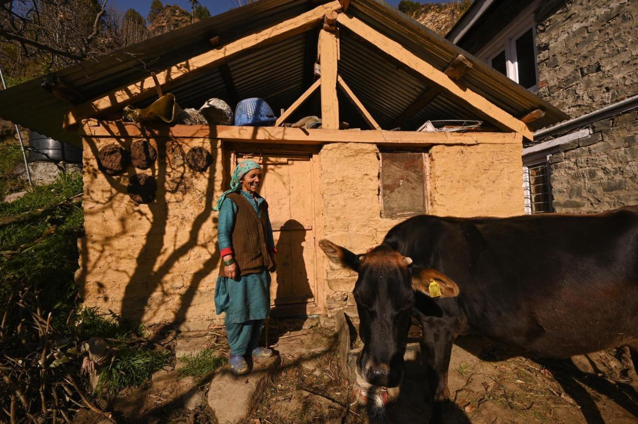 Zostel Dobhi, Manali Hostel Nagar  Екстериор снимка