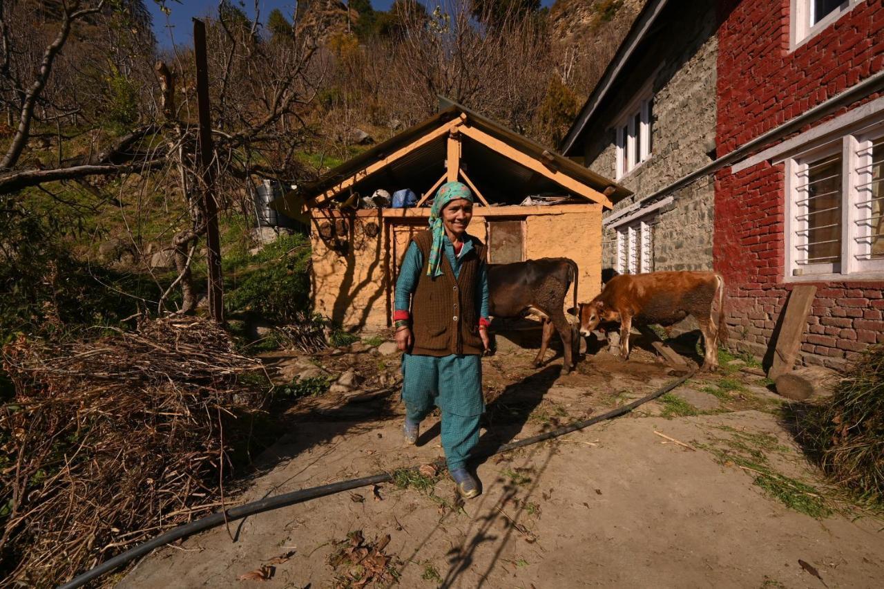 Zostel Dobhi, Manali Hostel Nagar  Екстериор снимка