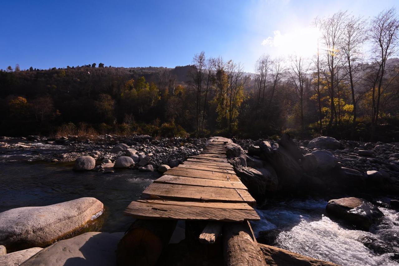 Zostel Dobhi, Manali Hostel Nagar  Екстериор снимка