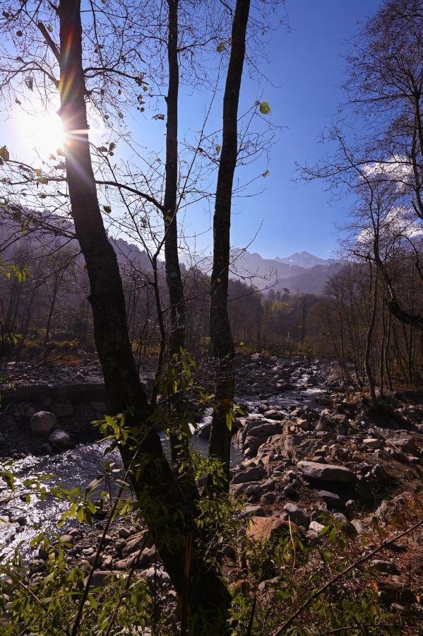 Zostel Dobhi, Manali Hostel Nagar  Екстериор снимка